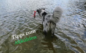 Read more about the article 10 Tipps zum Abkühlen
